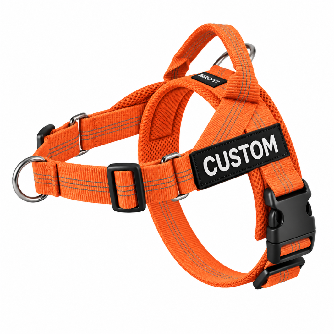 Harnais anti-traction pour chien - 2