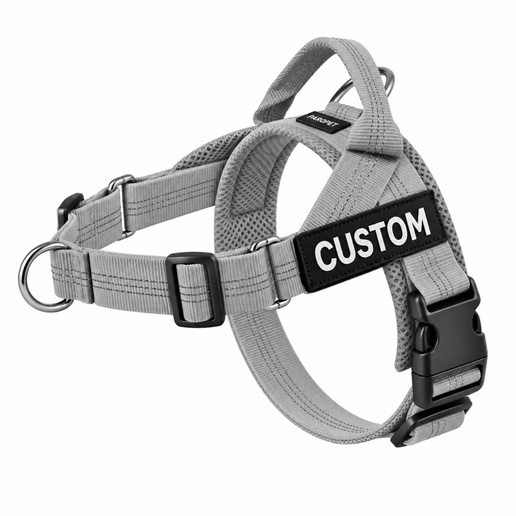 Harnais anti-traction pour chien