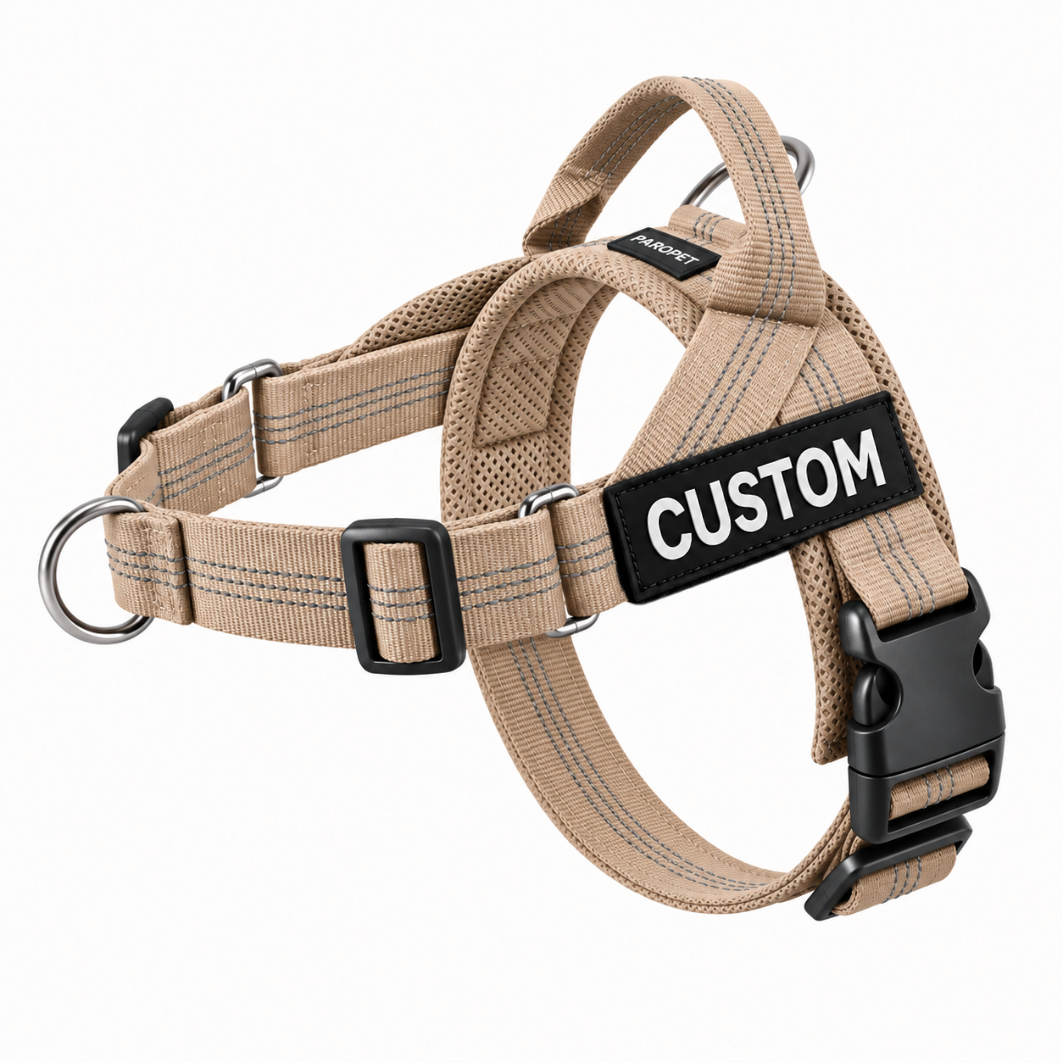 Harnais anti-traction pour chien