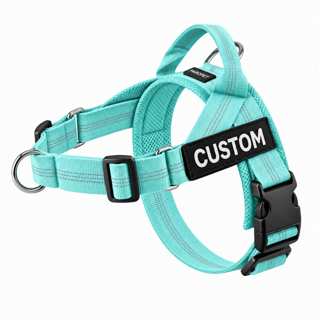 Harnais anti-traction pour chien