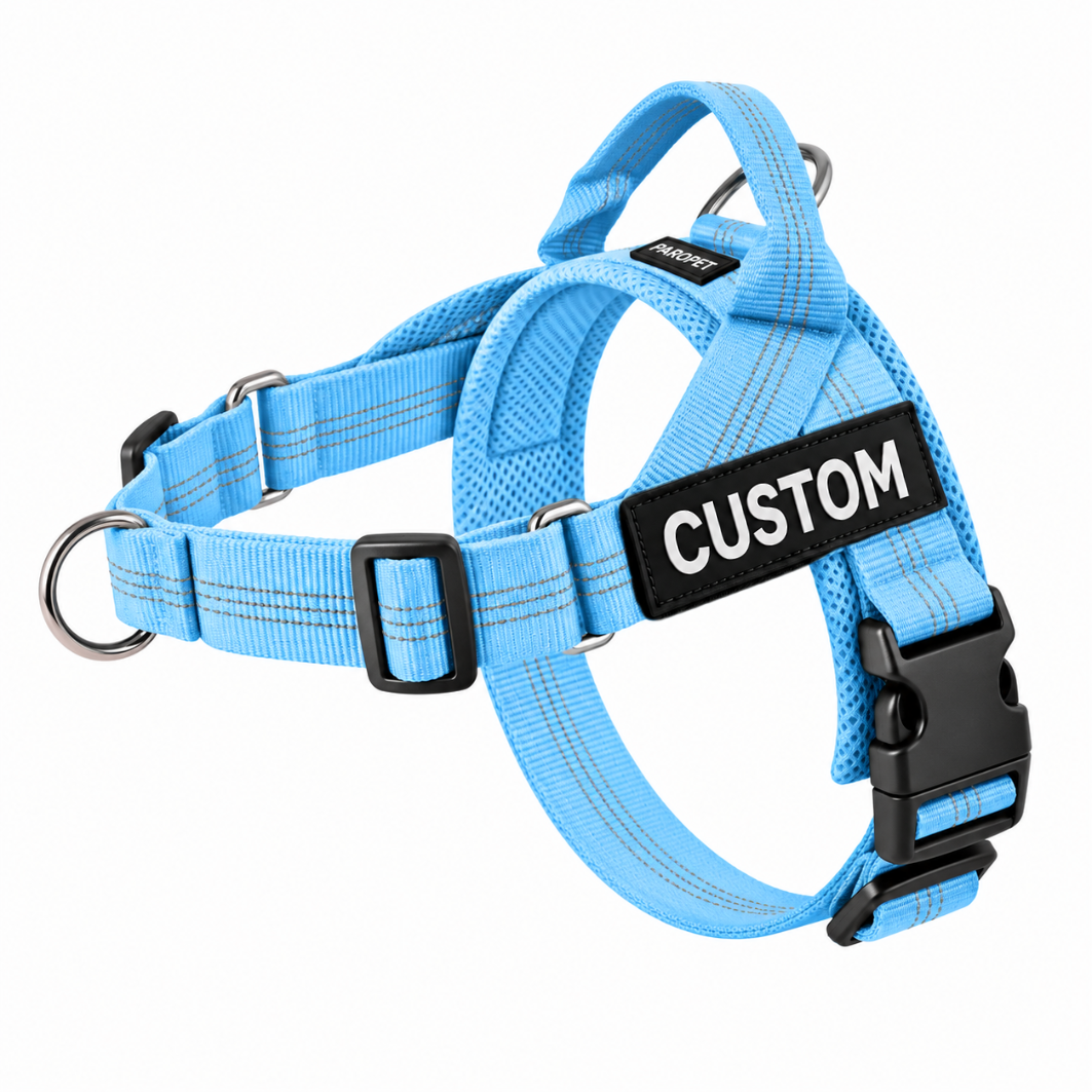 Harnais anti-traction pour chien