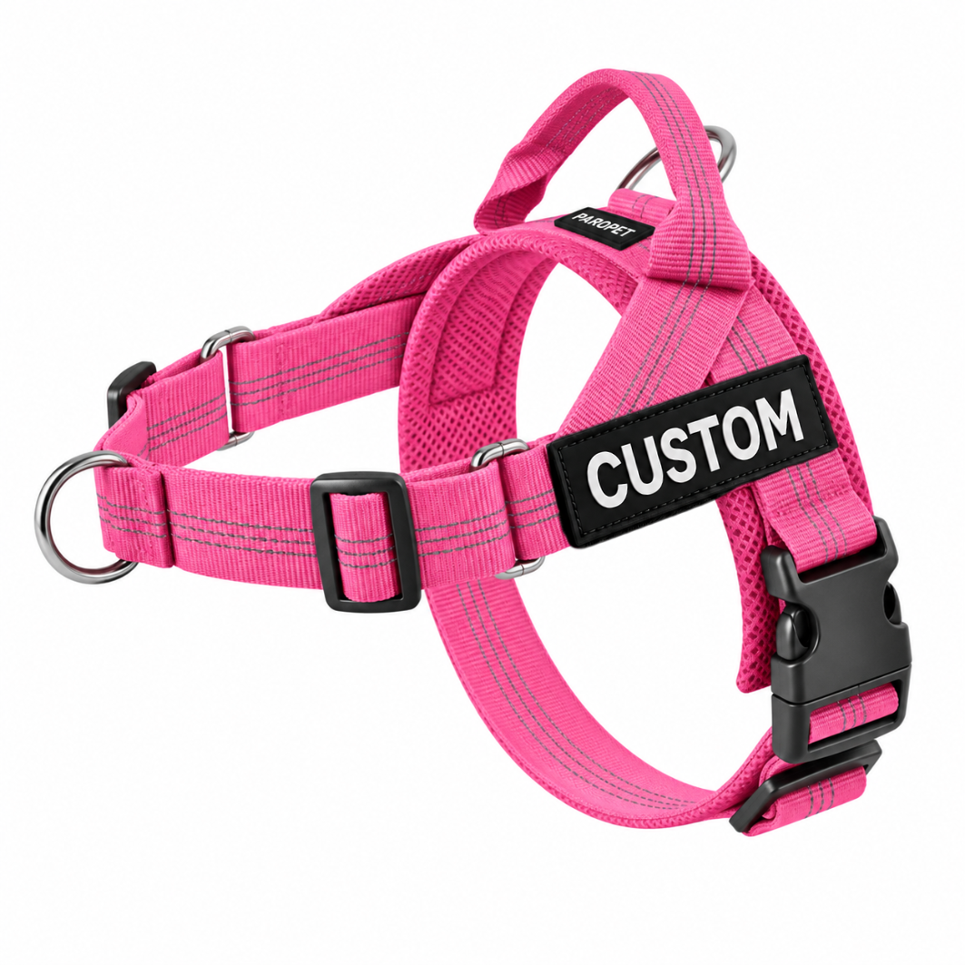 Harnais anti-traction pour chien