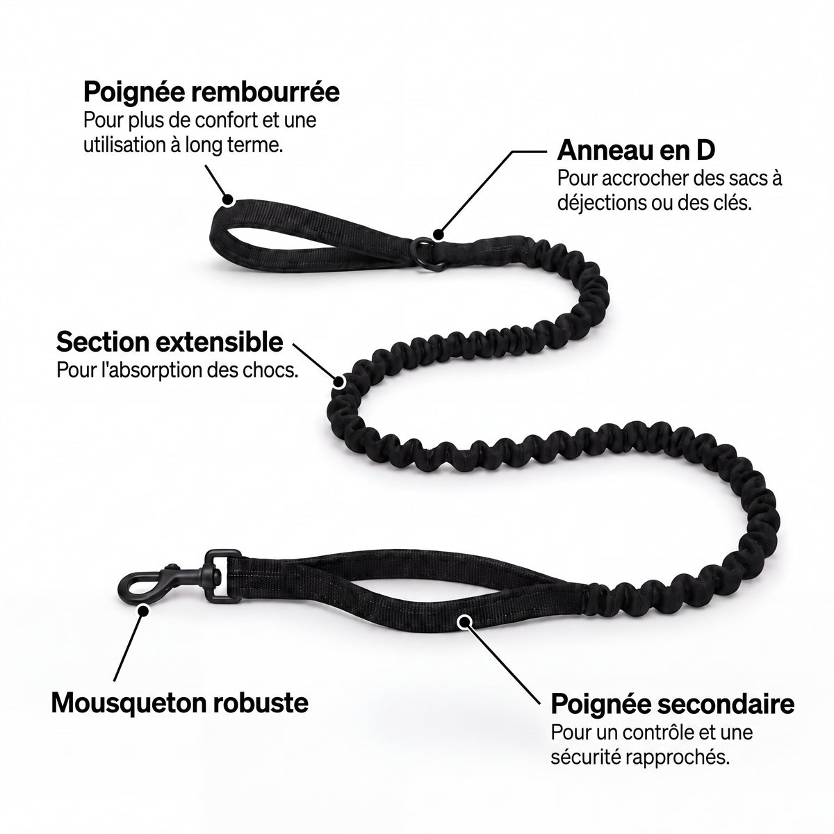 Harnais anti-traction pour chien