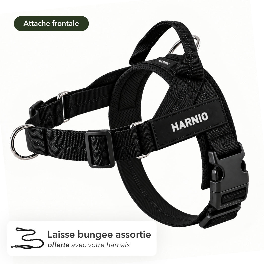 Harnais anti-traction Harnio avec laisse bungee assortie offerte