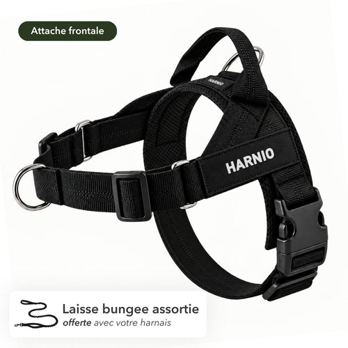 Harnais anti-traction Harnio avec laisse bungee assortie offerte