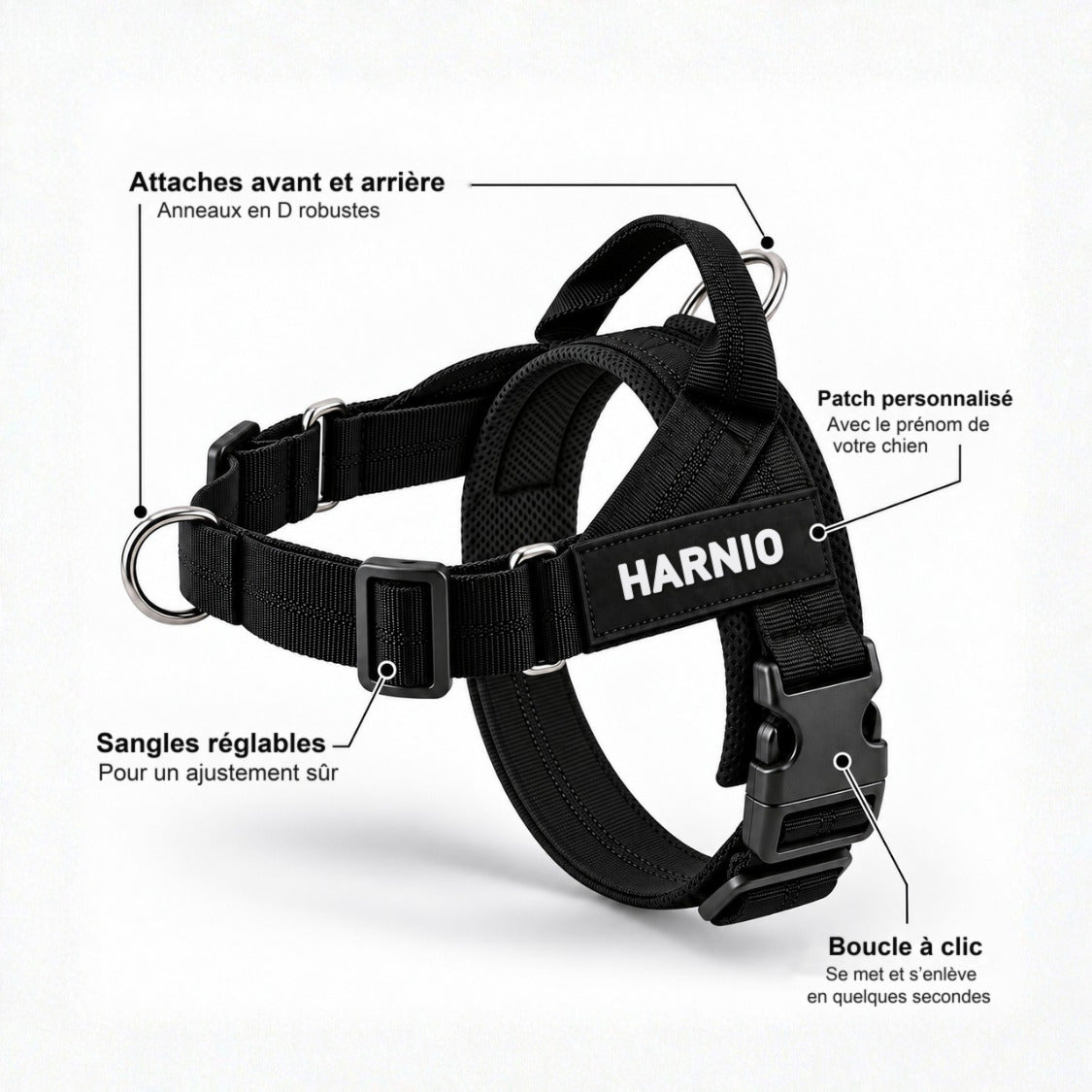 Schéma du harnais Harnio : attaches avant et arrière, patch personnalisé, sangles réglables, boucle à clic