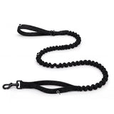 Laisse bungee assortie