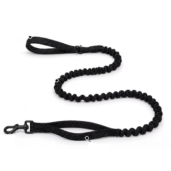 Laisse bungee assortie offerte
