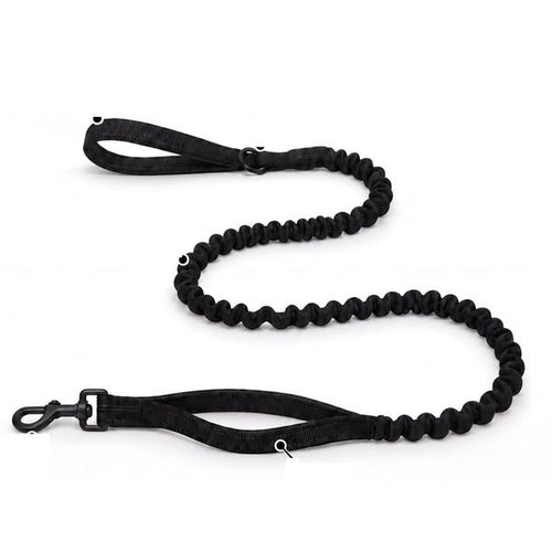 Laisse bungee assortie offerte