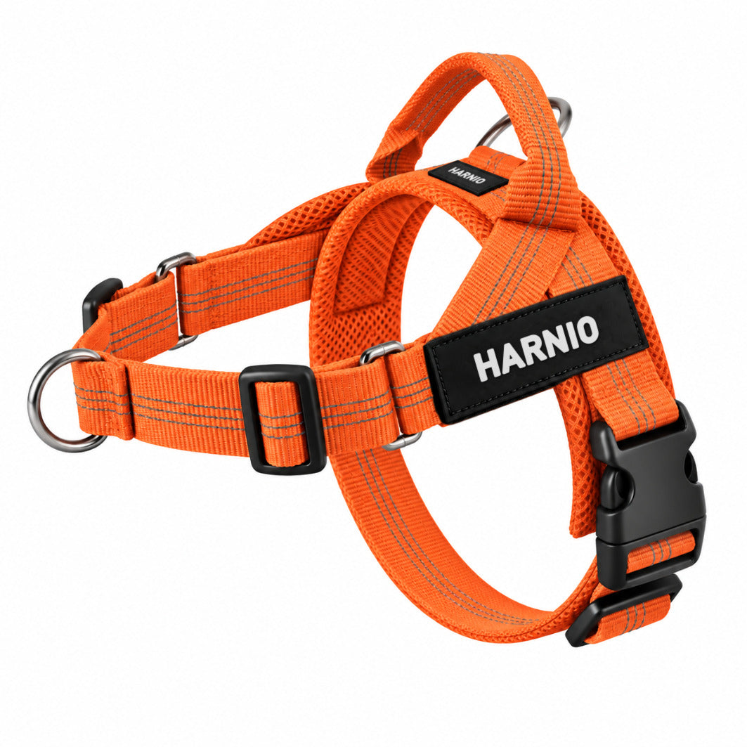 Harnais anti-traction Harnio orange