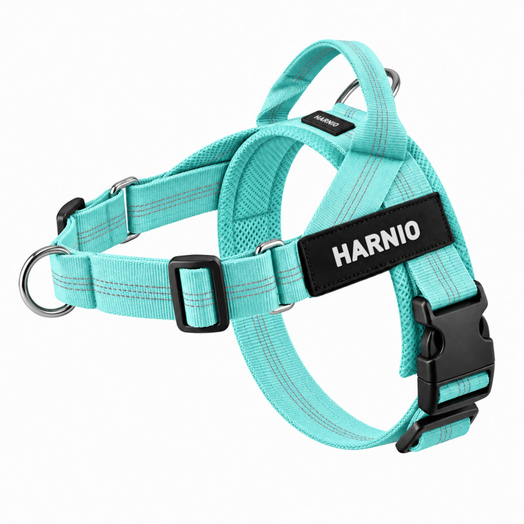 Harnais anti-traction Harnio vert turquoise